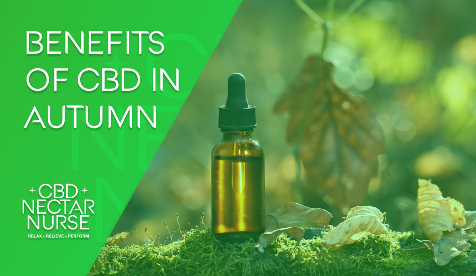 Seasonal Benefits of CBD: Using CBD in the Autumn