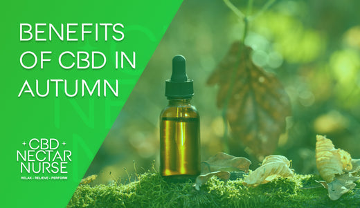 Embrace Autumn with CBD: Solutions for Seasonal Challenges